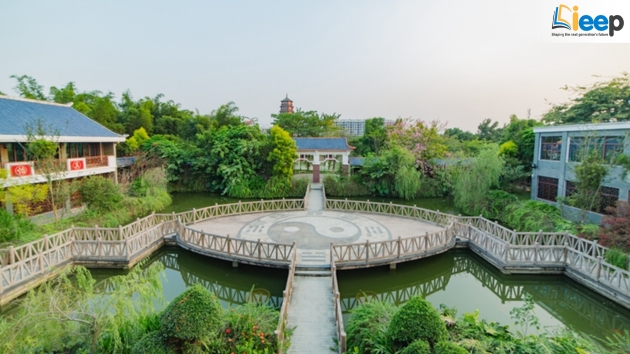 bảo tàng trà quảng tây.jpg